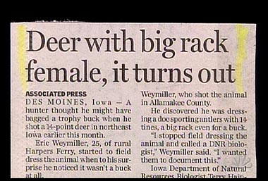 Amusing Newspaper Headlines Uk