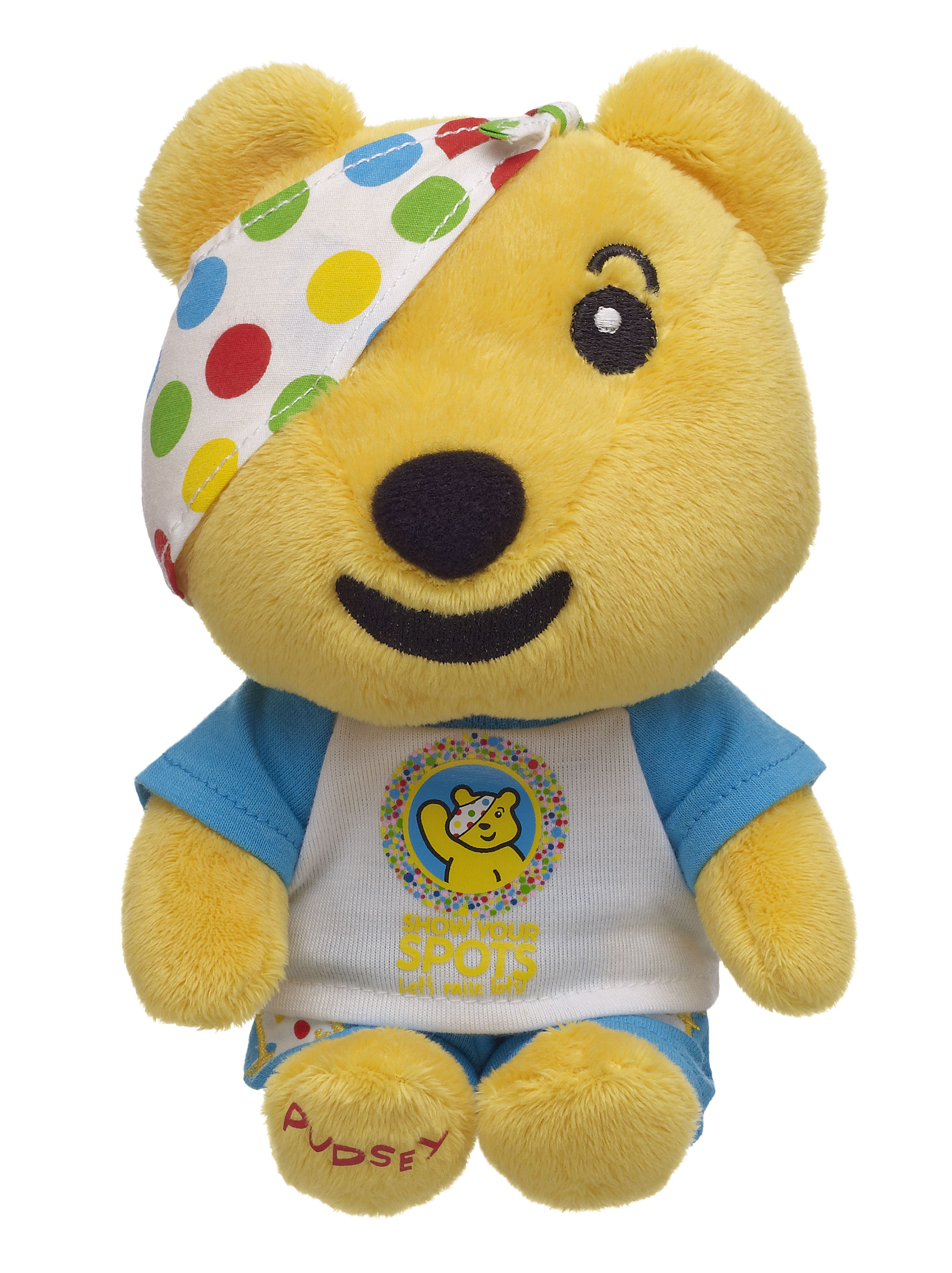 Children In Need Bear Name