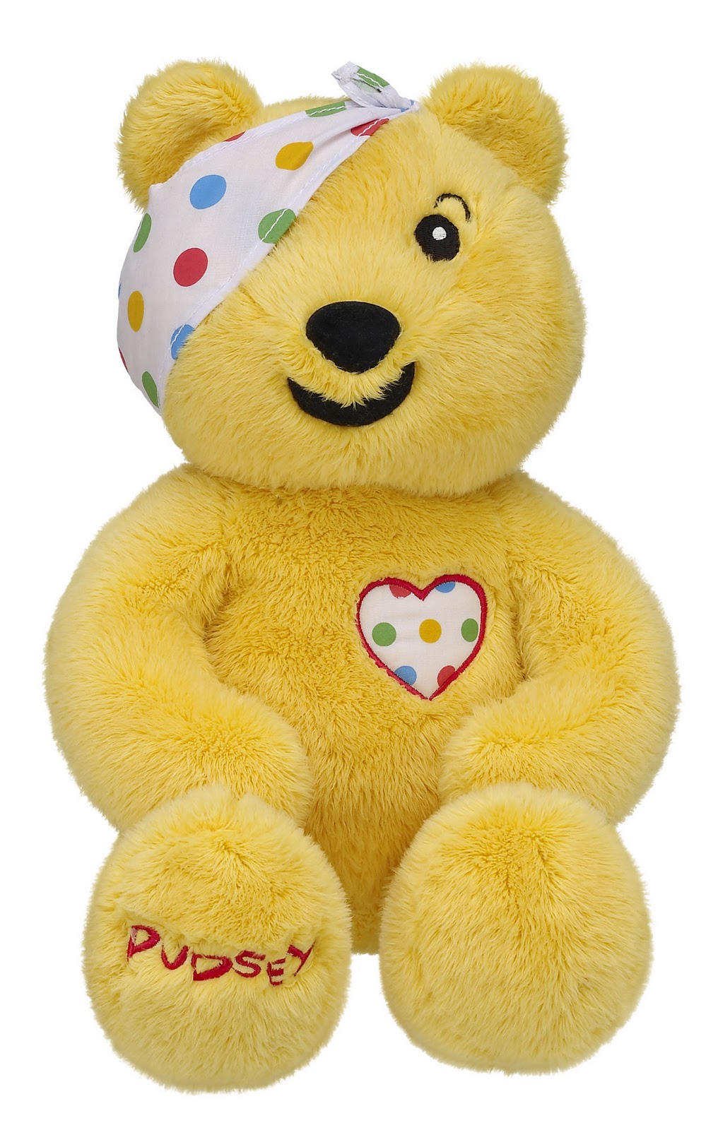 Children In Need Bear Name