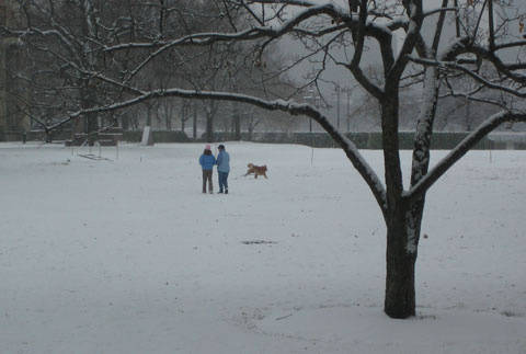 Children Playing Outside In The Snow