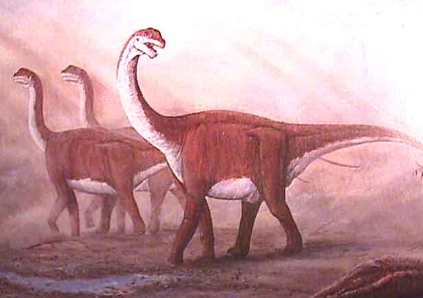 Dinosaur King Camarasaurus