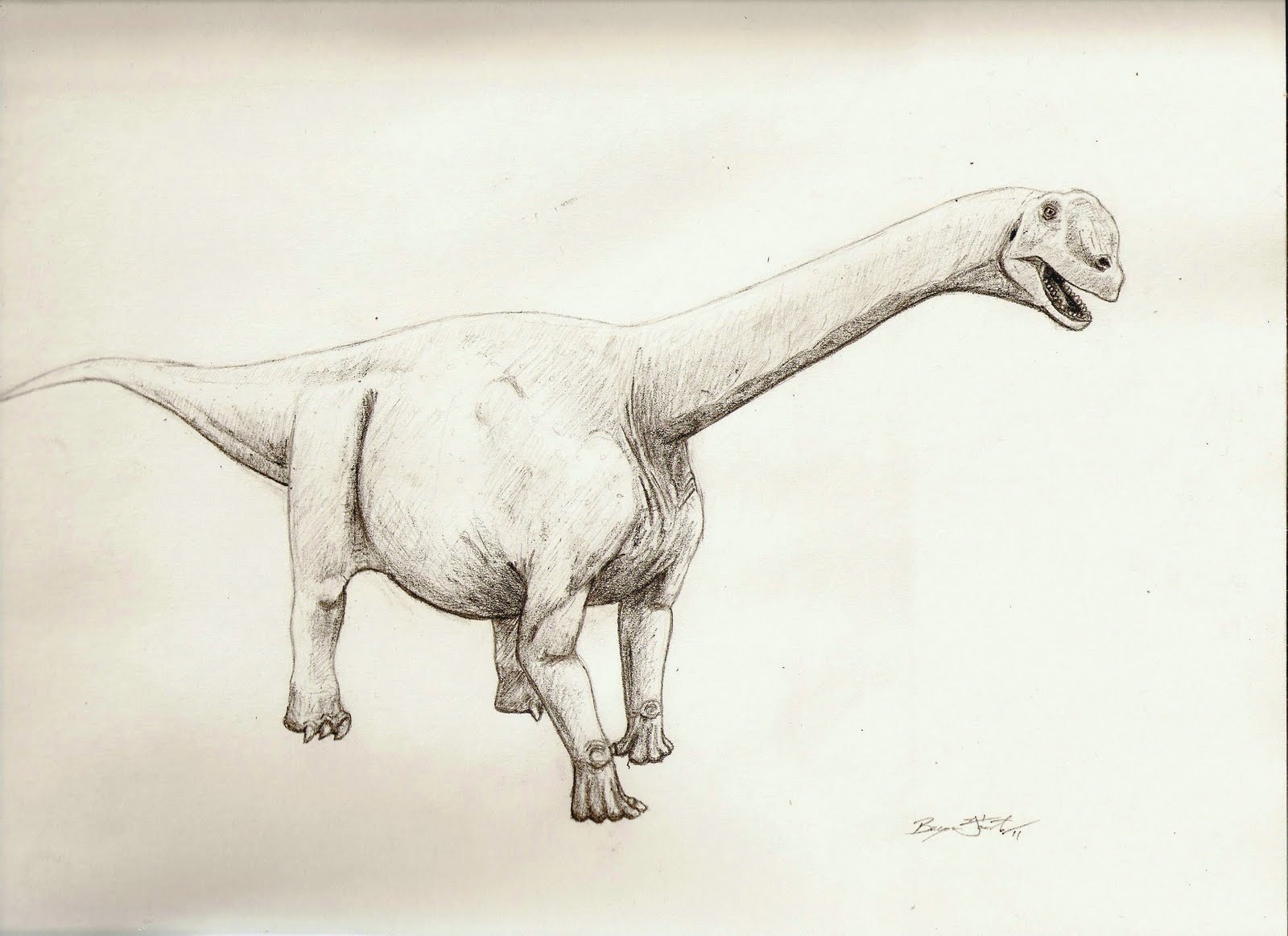 Dinosaur King Camarasaurus