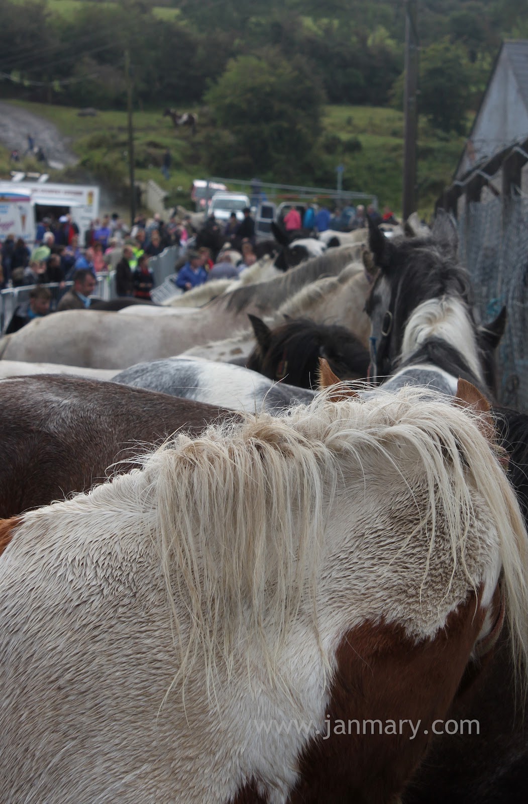 Lammas Fair Ballycastle 2011