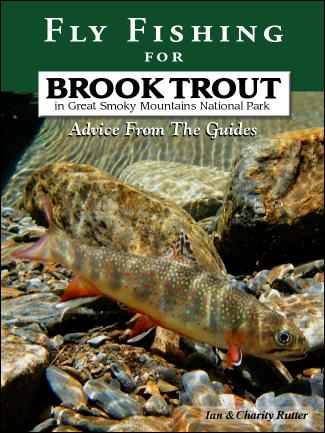 Native Trout Fly Fishing