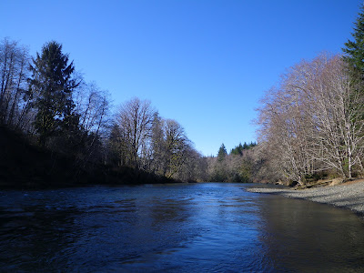 Native Trout Fly Fishing