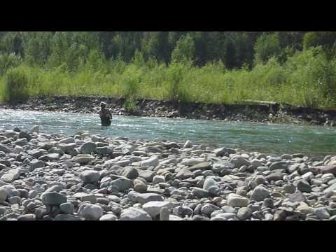 Native Trout Fly Fishing