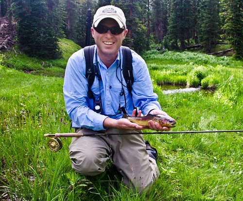 Native Trout In Colorado