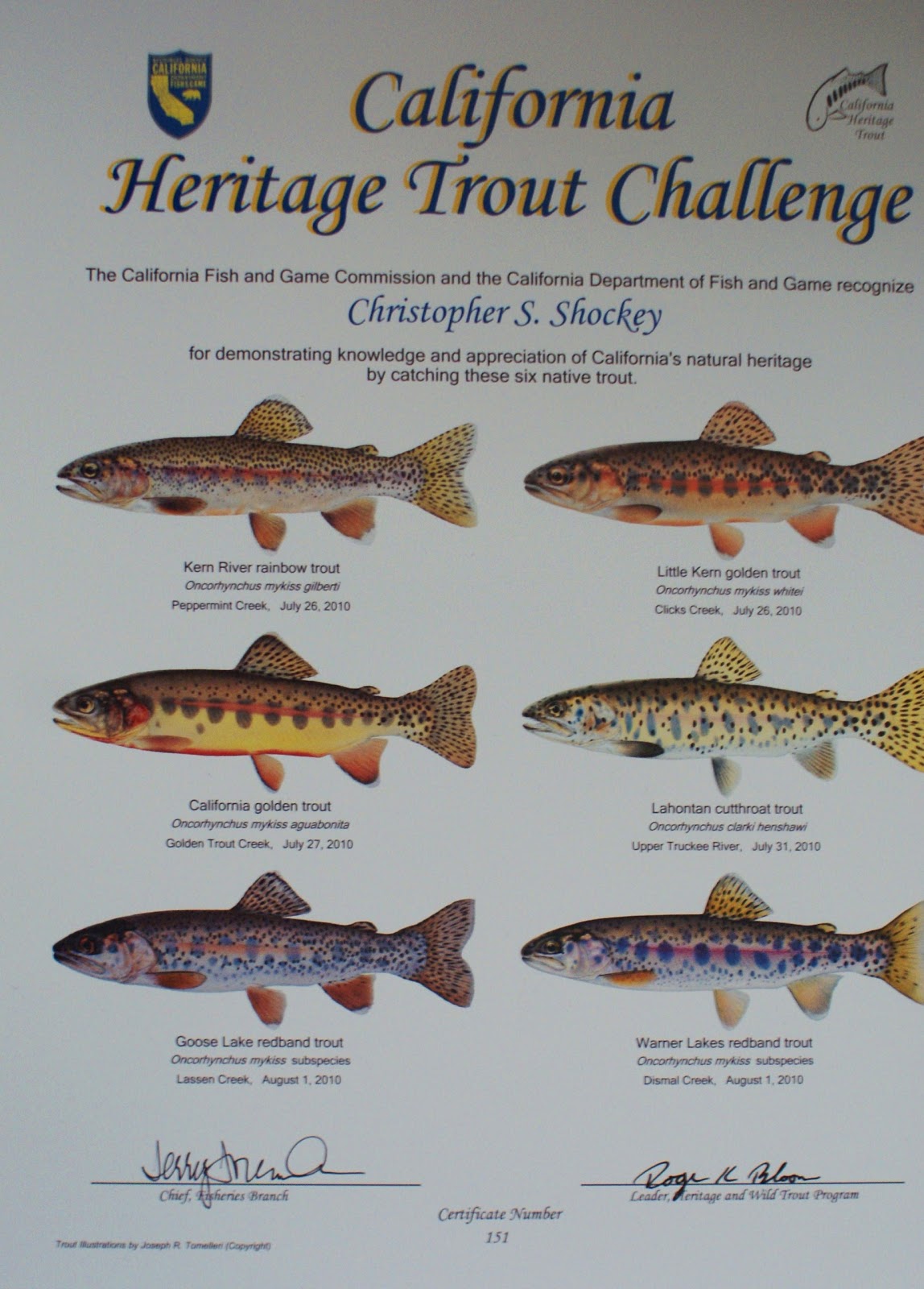 Native Trout Of California