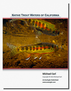 Native Trout Of California