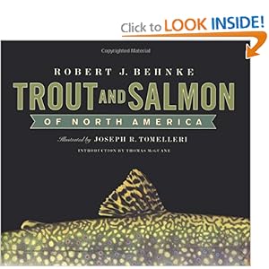 Native Trout Of North America