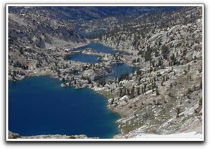 Native Trout Sierra Nevada