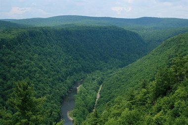 Native Trout Streams In Pa