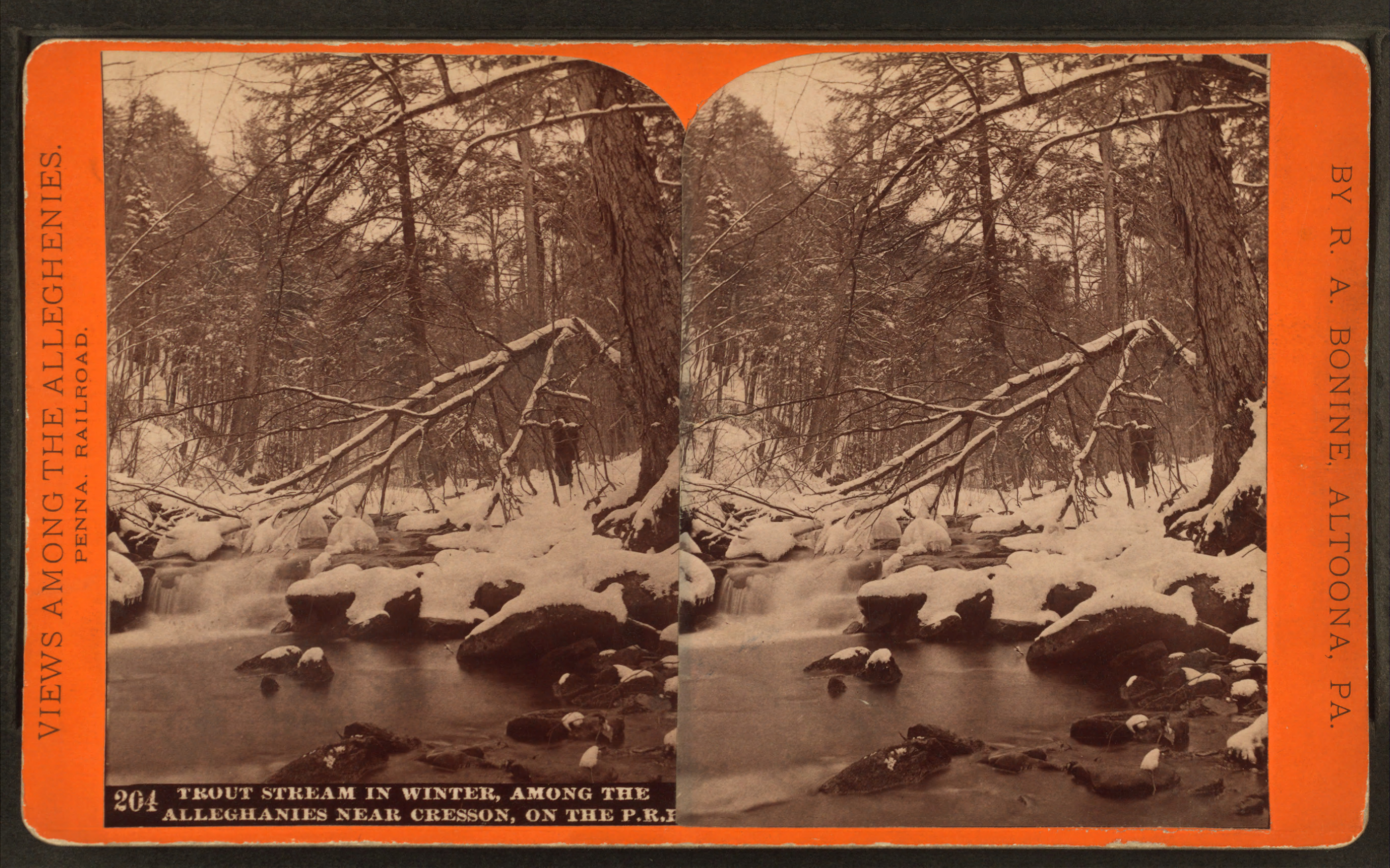 Native Trout Streams In Pa