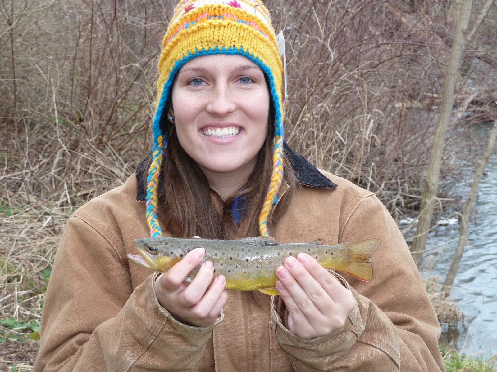 Native Trout Streams In Pa