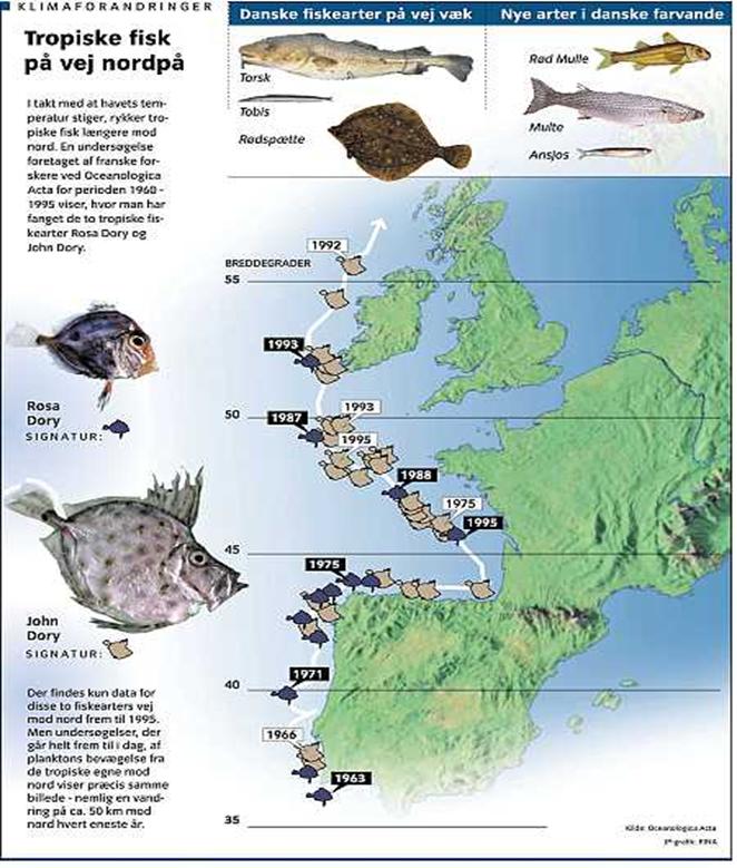 Newspaper Articles On Global Warming