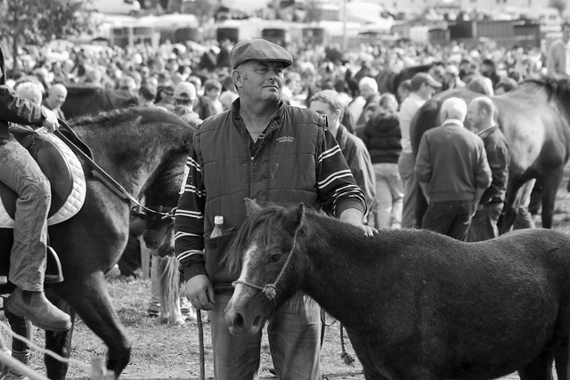 October Fair Ballinasloe 2012