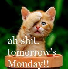 Tomorrow Is Monday Pics